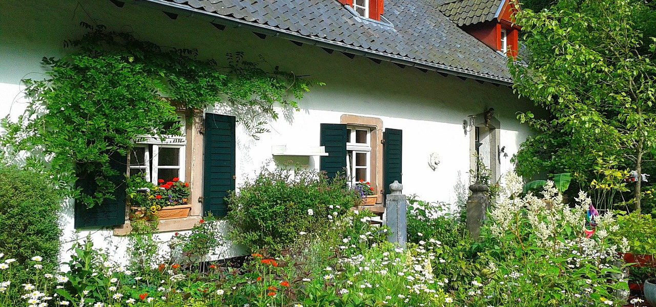 konstrukcja dachu